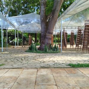 WhatsApp Image 2024-11-22 at 16.07.07